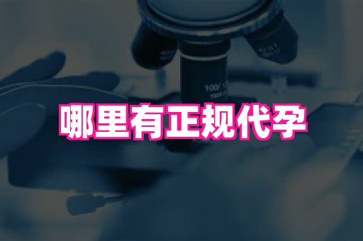 江苏助孕网 3