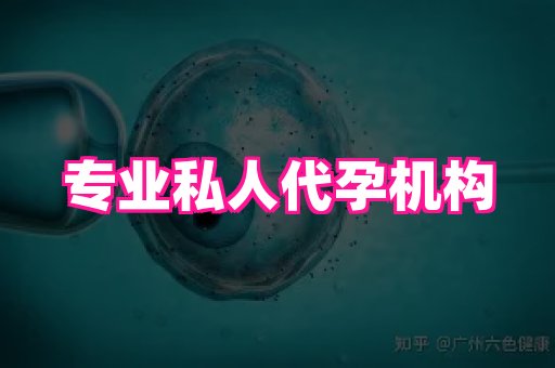 江苏助孕网 4